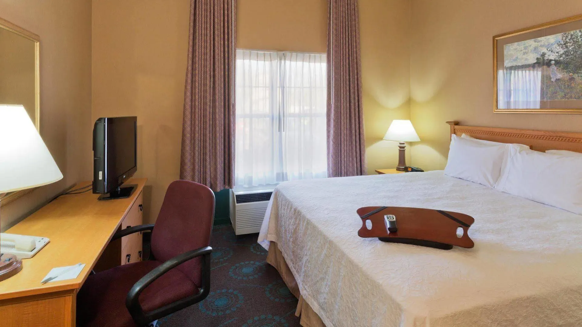 Hotel Hampton Inn & Suites Phoenix-Goodyear